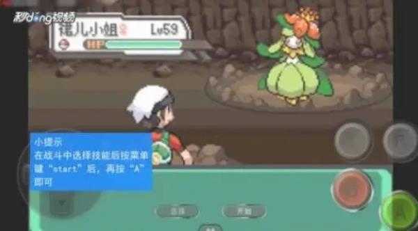 口袋妖怪綠寶石金手指3