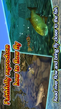 Fly Fishing 3D II4