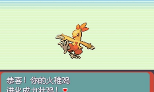 口袋妖怪綠寶石rom2