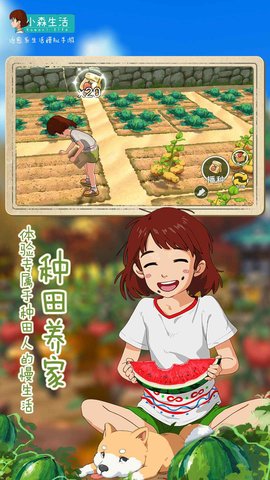 小森生活無限金幣2