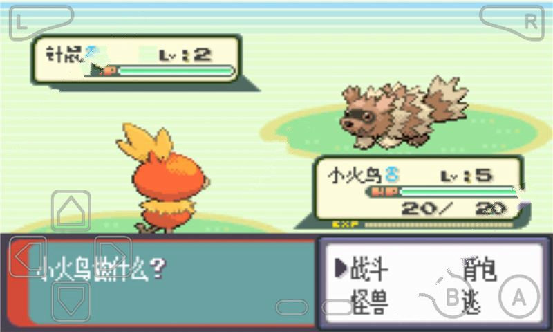 口袋妖怪綠寶石全隨機(jī)版2