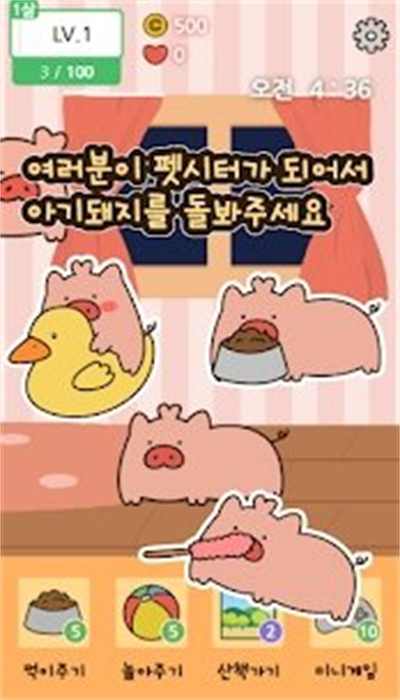 口袋寵物豬4