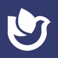 shell32.dll 