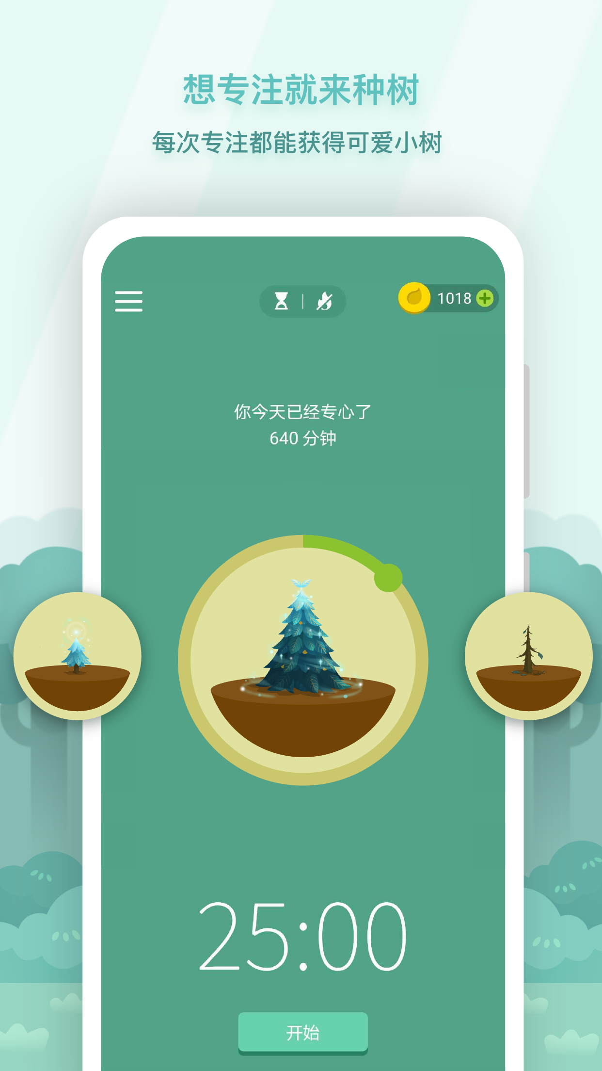 Forest專注森林3