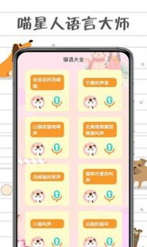 小貓交流器1