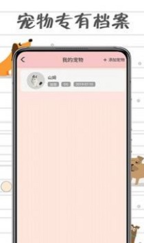 小貓交流器3