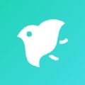 shell32.dll 