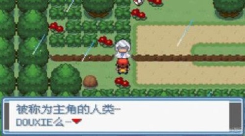 口袋妖怪綠寶石802全隨機版1