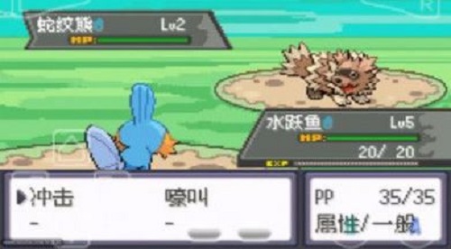 口袋妖怪綠寶石802全隨機版3