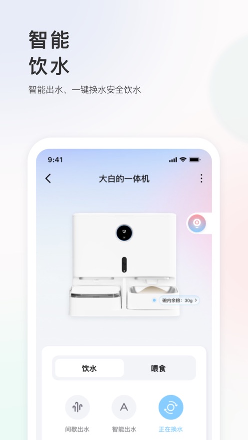 小新寵物1