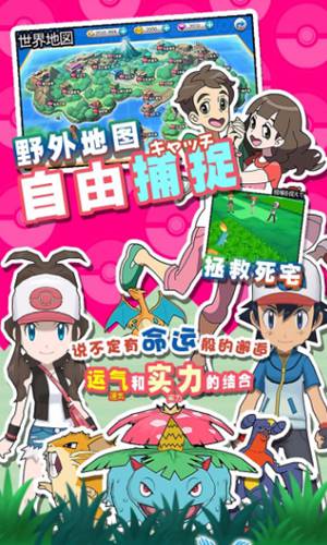 口袋喵喵游戲1