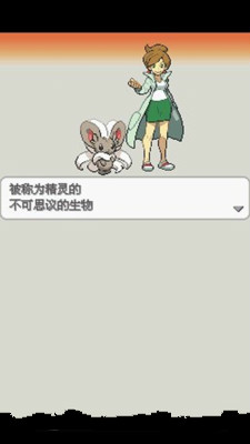 口袋妖怪：白2 649版2