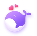 shell32.dll 
