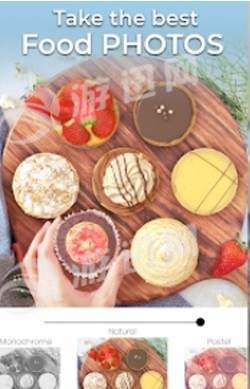 food stylist3