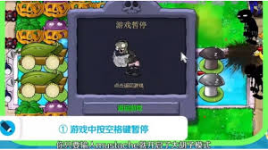 如何在游戏中开启植物大战僵尸的大胡子模式？(图2)