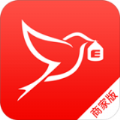 shell32.dll 