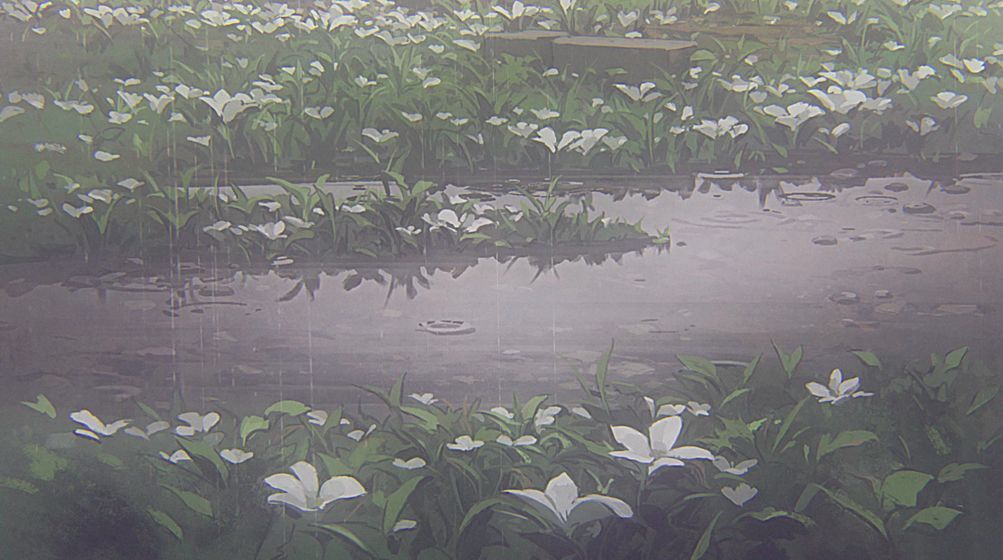 古樹旋律24