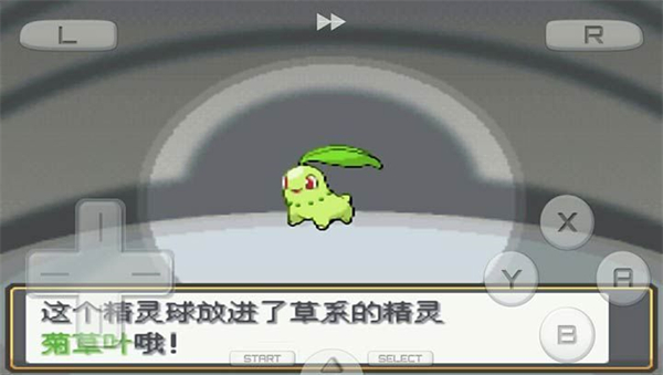 口袋妖怪金銀1