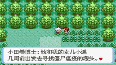 口袋妖怪：蛇紋木3