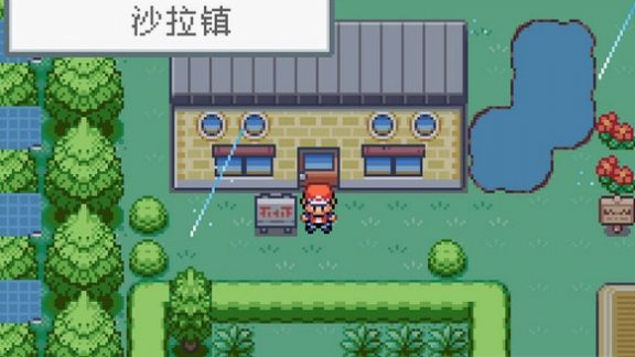 口袋妖怪火金2