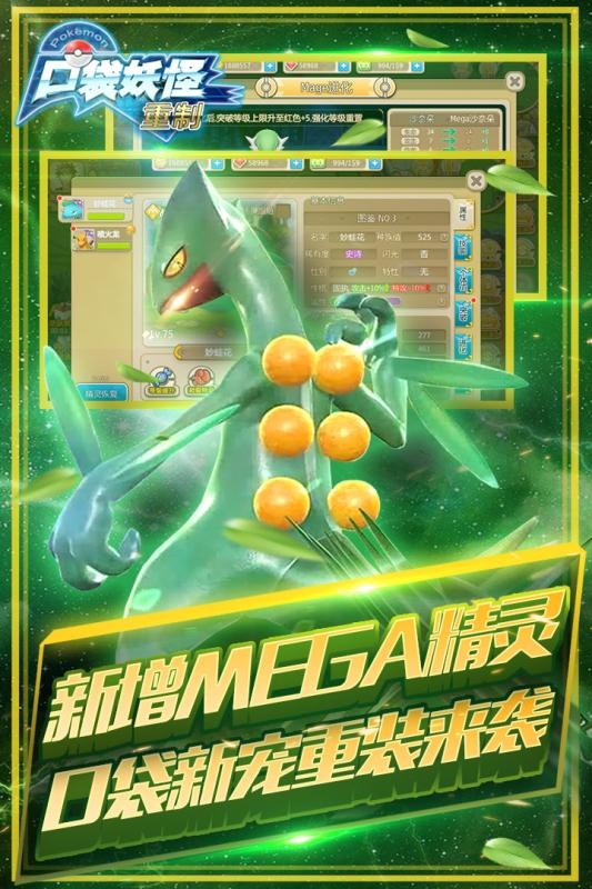 口袋重制5