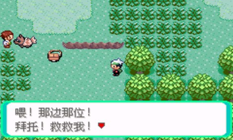 口袋妖怪：超級綠寶石8.0（悟飯）2