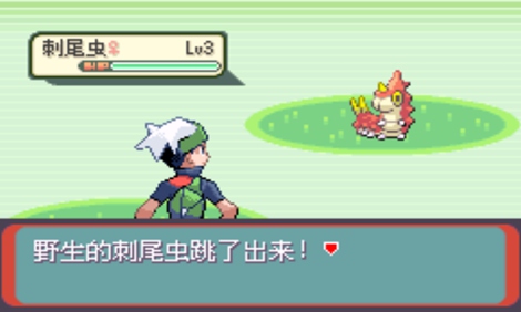 口袋妖怪：超級綠寶石8.0（悟飯）4