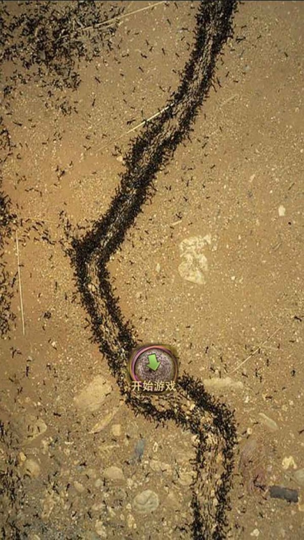地下蟻國蟻族崛起3