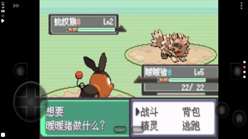 口袋妖怪漆黑的魅影51