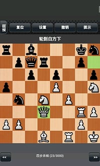 國(guó)際象棋下載1