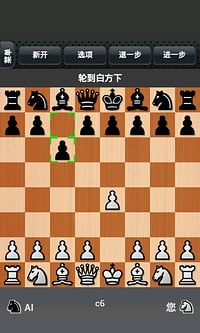 國(guó)際象棋下載4