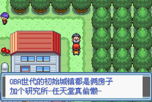 口袋妖怪：永恒之焱6