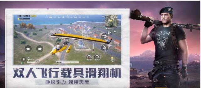 和平精英小蜜蜂助手2