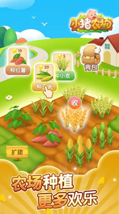 小豬農(nóng)場(chǎng)3