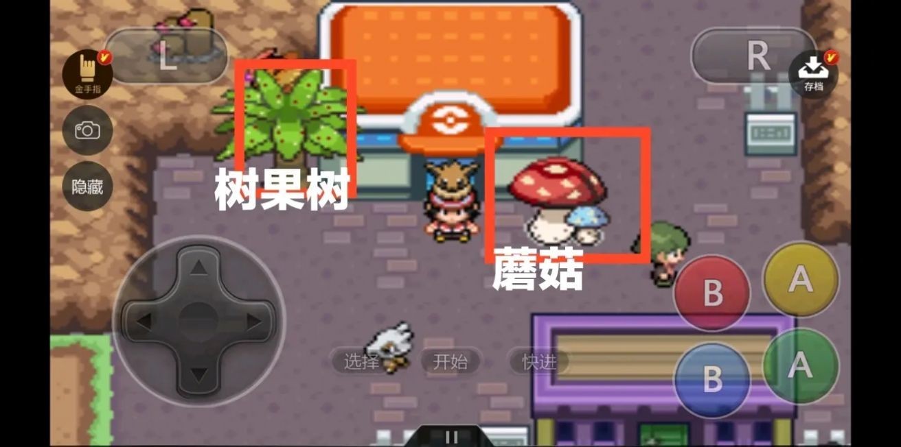 口袋妖怪去吧伊布6.0.11
