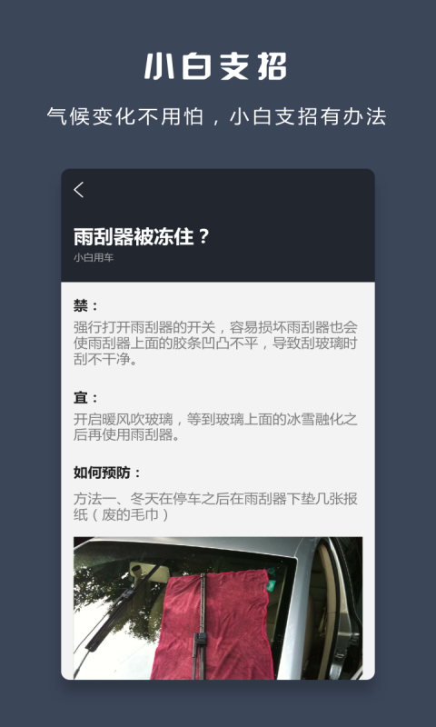 小白用車4