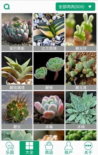 多肉植物軟件1