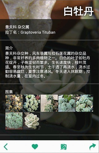 多肉植物軟件3