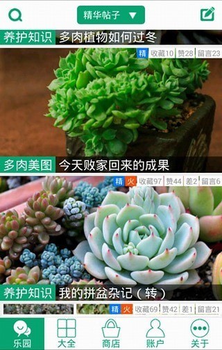 多肉植物軟件5