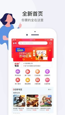小紅蟻1