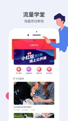 小紅蟻5