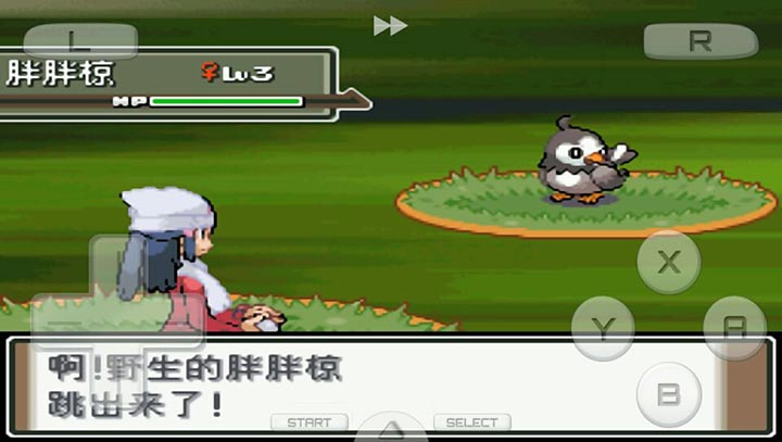 口袋妖怪：白金493 漢化版（悟飯）4