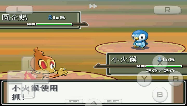 口袋妖怪：白金493 漢化版（悟飯）5