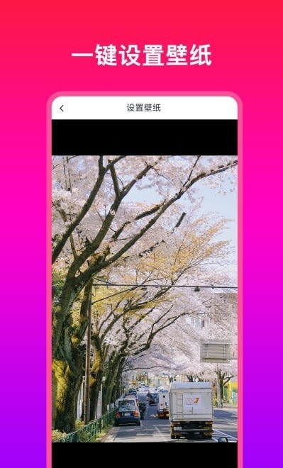多多壁紙大全2