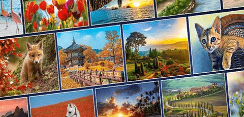 只是拼圖（Just Jigsaws）1