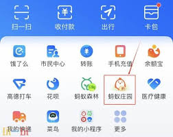 辣椒的別稱有哪些