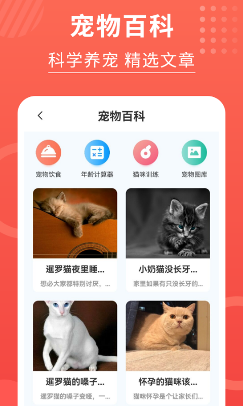 喵星人翻譯器3