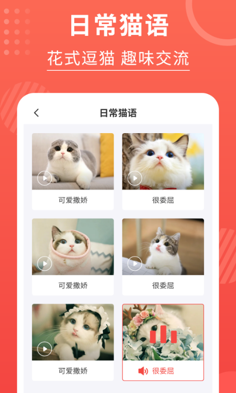 喵星人翻譯器4