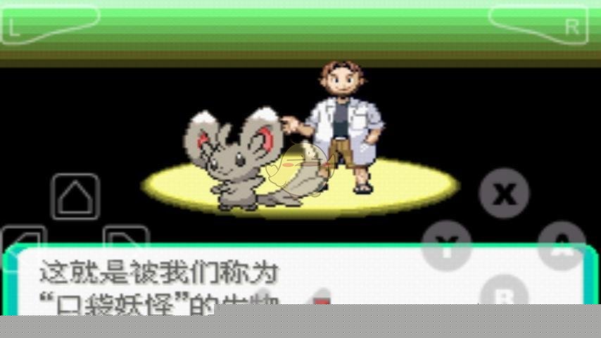 口袋妖怪：漆黑的魅影2