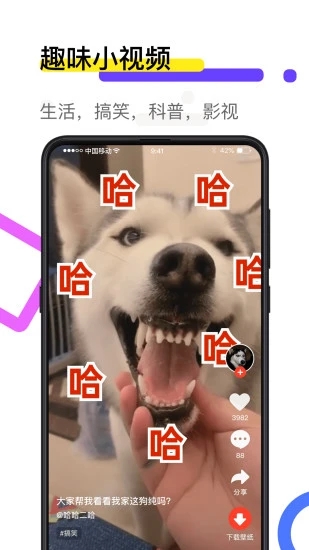 火螢視頻壁紙3